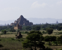 Dhammayangyi Temple nel complesso archeologico di Bagan Foto n. AOK6933