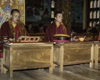 Preghiere al Karma Thegsum Dhechenling Monastery in Khaling Foto N. 6372