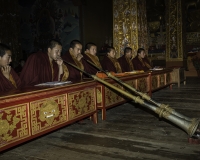 Preghiere al Karma Thegsum Dhechenling Monastery in Khaling Foto N. 6379