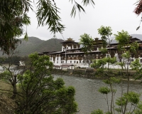 Punakha Dzong, palazzo fortificato fondato nel 1637 Foto n. POA6832