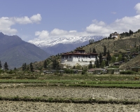 Rinpung Dzong a Paro Foto N. POA7003