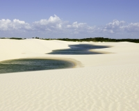 Parco dei  piccoli Lençois Maranhenses Foto n. 8065