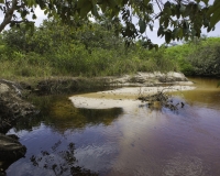 Guado multicolore nel  parco dei  Lençois Maranhenses prima di arrivare nella zona della Lagoa Bonita Foto n. 8370