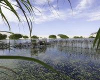 Cortile  di un contadino nel parco dei  Lençois Maranhenses vicino Santo Amaro Foto n. 8370