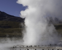 Geyser del Tatio Calama Cile Foto N. IGM1668