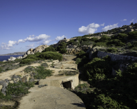 Reportage Costa Nord Sardegna Batteria di Talmone Foto n. Y3A9584