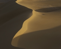 Verso il Gilf Kebir  Dune Foto n. AOK0108