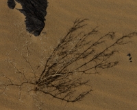 Giochi di ombre sul El Baz Crater Foto n. AOK0172