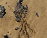 Giochi di ombre sul El Baz Crater Foto n. AOK0174