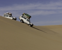 Dune nella zona di passaggio tra il  Great Sand see e il Deserto Bianco Foto n. AOK819