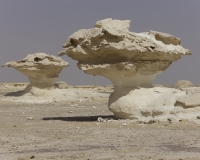 Formazioni calcaree nel White Desert National Park Foto n. AOK0940