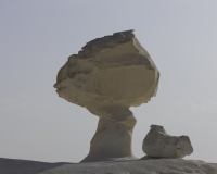 Il Fungo nel White Desert National Park Foto n. AOK0987