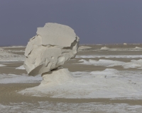 Formazioni calcaree nel White Desert National Park Foto n. AOK 0990