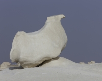 Formazioni calcaree nel White Desert National Park Foto n. AOK 1003