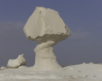 Il Fungo Formazioni calcaree nel White Desert National Park Foto n. AOK 1004