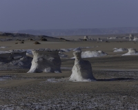 Discesa nel Deserto Bianco Foto n. 9960