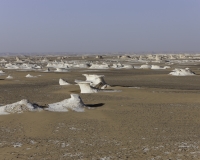 Discesa nel Deserto Bianco Foto n. 9962