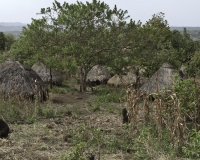 Villaggio etnia Surma vicino Tulgit, Foto n. 0655