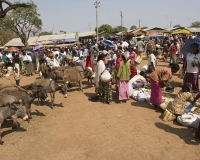 Mercato di Kamashi  etnia Gomuz vicino Ghimbi, Foto n. 2141