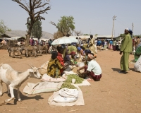 Mercato di Kamashi  etnia Gomuz vicino Ghimbi, Foto n. 2200