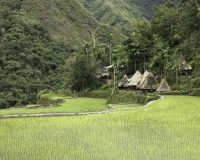 Antichi terrazzamenti di riso  nel villaggio di Batad, isola di Luzon Foto n. 6729