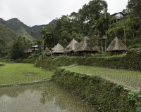 Antichi terrazzamenti di riso  nel villaggio di Batad, isola di Luzon Foto n. 6753