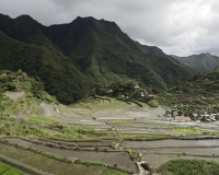 Antichi terrazzamenti di riso  nel villaggio di Batad, isola di Luzon Foto n. 6775