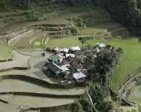Antichi terrazzamenti di riso  nel villaggio di Batad, isola di Luzon Foto n. 6818