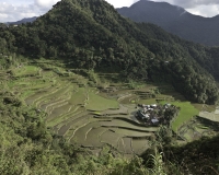 Terrazzamenti di riso  nel villaggio di Banga-an, isola di Luzon Foto n. 6822