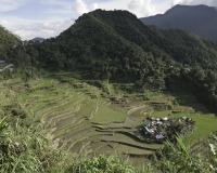 Terrazzamenti di riso  nel villaggio di Banga-an, isola di Luzon Foto n. 6825