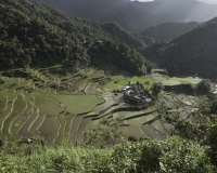Terrazzamenti di riso  nel villaggio di Banga-an, isola di Luzon Foto n. 6836