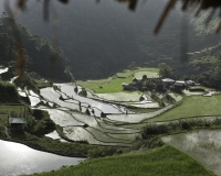Terrazzamenti di riso  nel villaggio di Banga-an, isola di Luzon Foto n. 6849