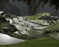 Terrazzamenti di riso  nel villaggio di Banga-an, isola di Luzon Foto n. 6852
