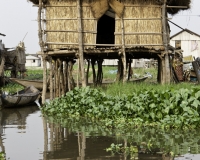 Ganvie: Villaggio su palafitte a nord di Cotonou, Benen Foto n. 5822