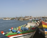 Barche di pescatori al porto di Al Hodeidah Yemen / Foto n. 0010