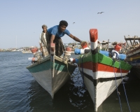 Barche di pescatori al porto di Al Hodeidah Yemen / Foto n. 0013