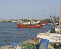 Barche di pescatori al porto di Al Hodeidah Yemen / Foto n. 0018