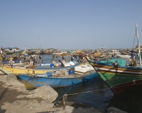 Barche di pescatori al porto di Al Hodeidah Yemen / Foto n. 0026