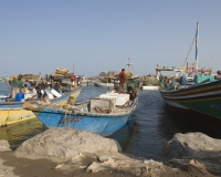 Barche di pescatori al porto di Al Hodeidah Yemen / Foto n. 0029