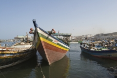 I pescatori di Hodeidah  Yemen 2007