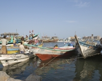 Barche di pescatori al porto di Al Hodeidah Yemen / Foto n. 0005