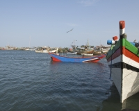 Barche di pescatori al porto di Al Hodeidah Yemen / Foto n. 0007