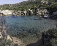 Scatti lungo il percorso verso Cala di Trana Foto n. Y3A9440