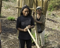 Portatrici di Bambù in Nagaland Foto N. POA5748