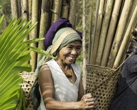 Portatrici di Bambù in Nagaland Foto N. POA5757