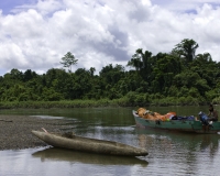 Navigazione sul Fiume Diram canoa primitiva e lancia a motore Foto n. 0013