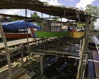 Costruzione canoe in Briten, Irian Jaia West Papua Foto n. 0295