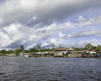 Paesaggio di Briten, territorio Asmat, Irian Jaia West Papua Foto n. 0299