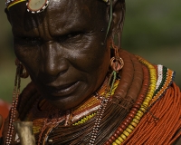 Donne etnia Samburu vicino Wamba Foto n. POA0206