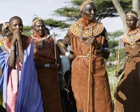 Donne etnia Samburu vicino Wamba Foto n. POA0207